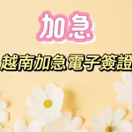 越南加急電子簽證