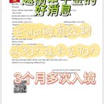 3個月多次入境的越南電子簽證