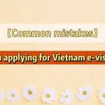 Common mistakes in applying for Vietnam e-visa