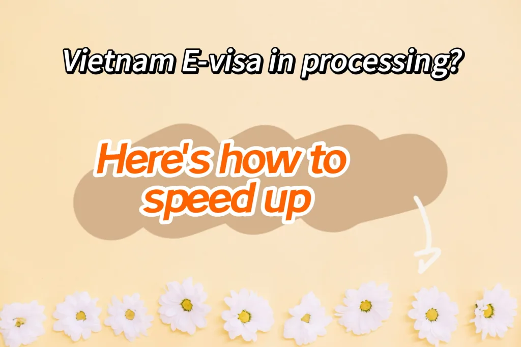 How to speed up Vietnam E-visa in processing